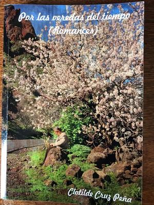 Libro de romances