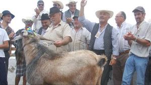 Bajada del macho  lp