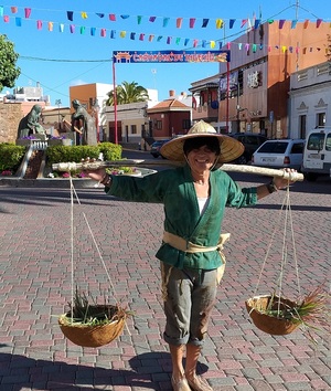 Carnaval en ingenio